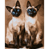 Siamese duo - Diamond Painting