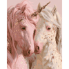 Sterrenlicht eenhoorns - Diamond Painting