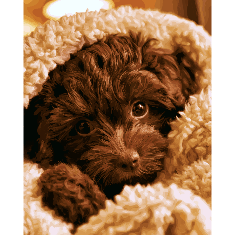 Teddybeer pup - Diamond Painting