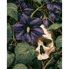 Donkere nachtschade bloem - Diamond Painting