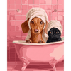 Teckel & kat in bad - Diamond Painting