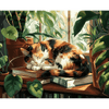 Slapende kat bij het raam - Diamond Painting