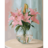 Zachte lelies - Diamond Painting