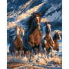 Vrije ruiters - Diamond Painting