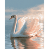 Gracieuze wateren - Diamond Painting