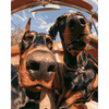 Ronde trip trouble - Diamond Painting