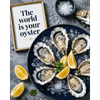 De wereld is jouw oester - Diamond Painting