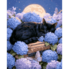 Hortensia kattendutje - Diamond Painting