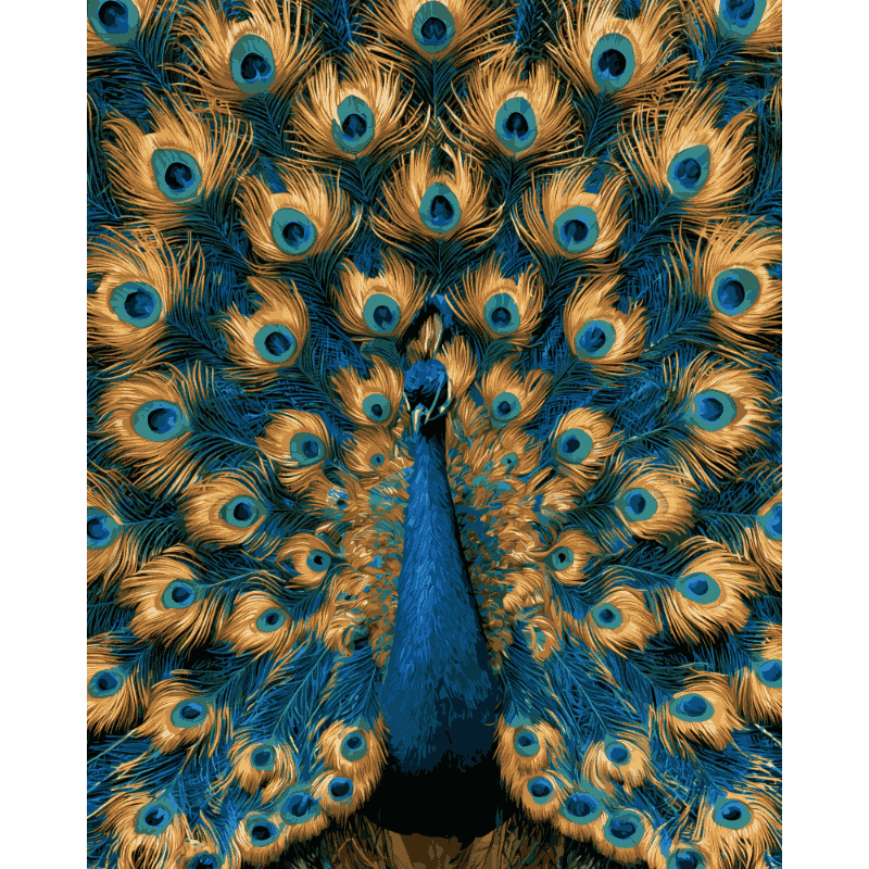 Trotse pauw - Diamond Painting