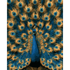 Trotse pauw - Diamond Painting