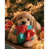 Puppy kerstcadeau - Diamond Painting