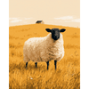 Schapen in gouden velden - Diamond Painting