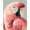 Roze ara - Diamond Painting