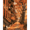 Brooklyn herfstlichten - Diamond Painting