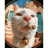 Een kat op hoogte - Diamond Painting