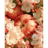 Appelbloesem bos - Diamond Painting