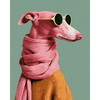 Coole flamingo pup - Diamond Painting