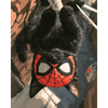 Spiderkat - Diamond Painting