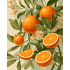 Bloeiende sinaasappels - Diamond Painting