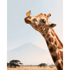 Kilimanjaro giraf - Diamond Painting