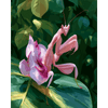 Orchidee bidsprinkhaan - Diamond Painting