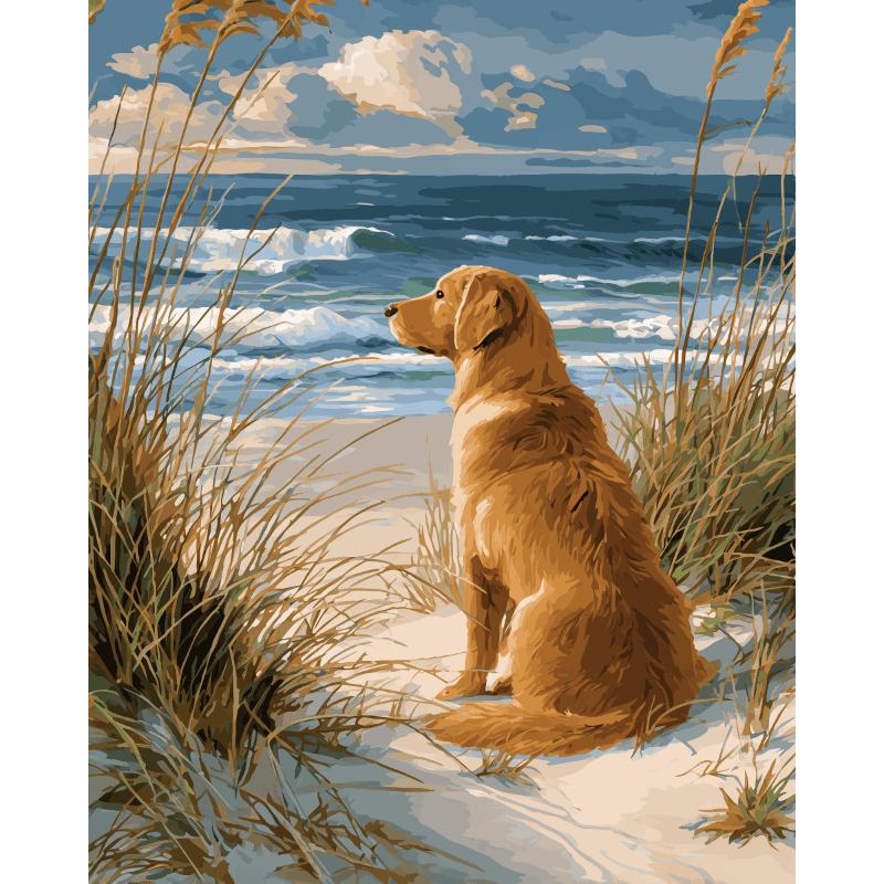Wachtende labrador - Diamond Painting