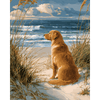 Wachtende labrador - Diamond Painting