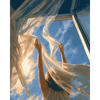 De bries achterna - Diamond Painting