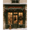 Boekenwinkel in de sneeuw - Diamond Painting