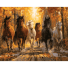 Wilde paarden in de herfst - Diamond Painting