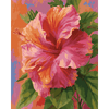 Kleurrijke hibiscus - Diamond Painting