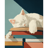De zachtste boekenlegger - Diamond Painting