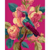 Levendige kolibrie - Diamond Painting