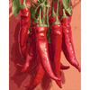 Chilipeper - Diamond Painting