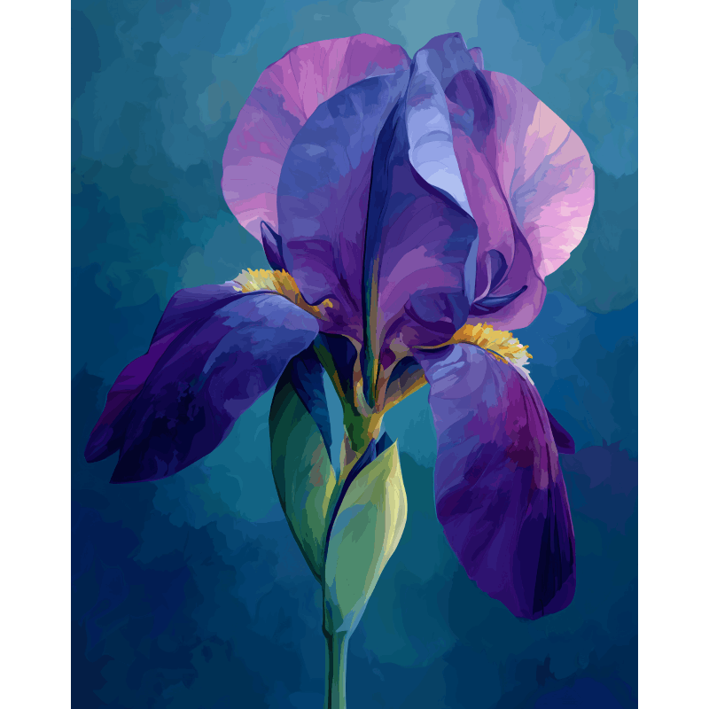 Fluwelen iris - Diamond Painting