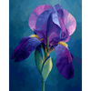 Fluwelen iris - Diamond Painting