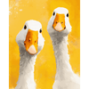 Nieuwsgierigheid - Diamond Painting