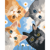 Gluurende kittens - Diamond Painting