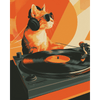 De kat is een DJ - Diamond Painting