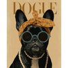 Franse bulldog - Diamond Painting