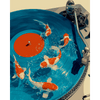 Koi & vinyl - Diamond Painting