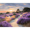 Veluwe Nationaal Park - Diamond Painting