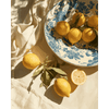 Citruszonnestraal - Diamond Painting