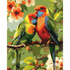 2 Gekleurde Vogels - Diamond Painting