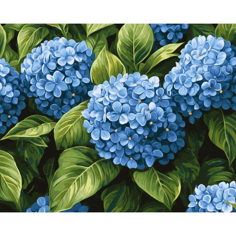 Blauwe hortensia's - Diamond Painting