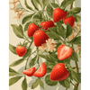 Bloeiende aardbeien - Diamond Painting