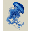 Blauwe kwal - Diamond Painting