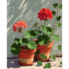 Geranium hoekje - Diamond Painting