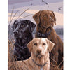 3 Labradors - Diamond Painting
