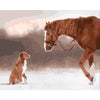 Paard & Hond - Diamond Painting